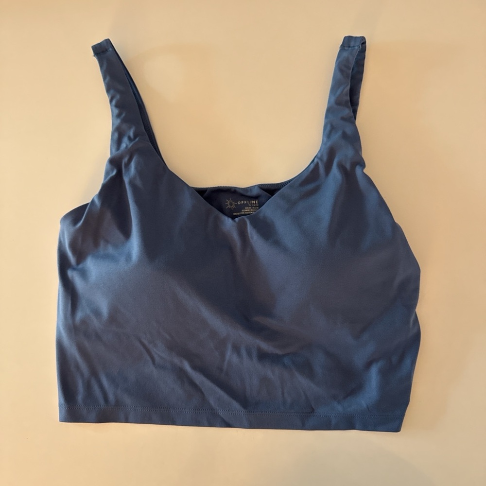 Aerie Blue Sports Bra